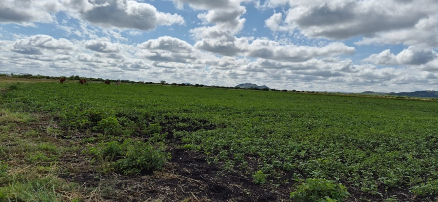 0 Bedroom Property for Sale in Brits Rural North West